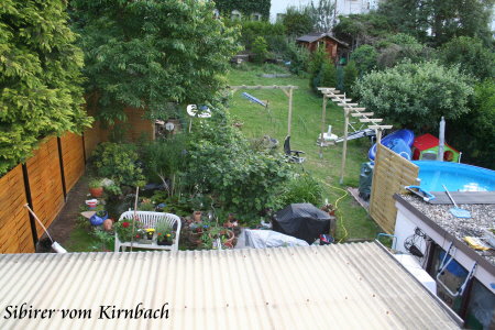 Aussengehege06