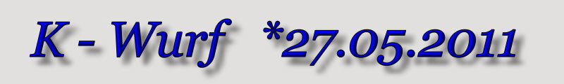 K-Wurf_Schrift