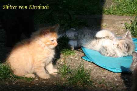 Sally2_060713